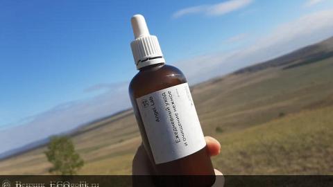 Отзыв: Мини-отзыв