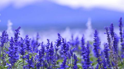 Отзыв: Мой самый базовый скраб для тела