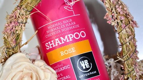 Отзыв: Шампунь 