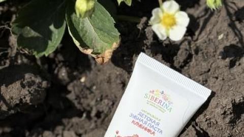 Отзыв: В этом году клубника была только в пасте..))