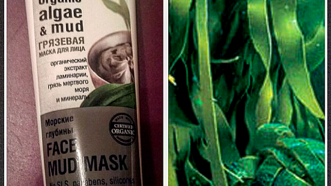 Отзыв: Грязевая маска для лица 