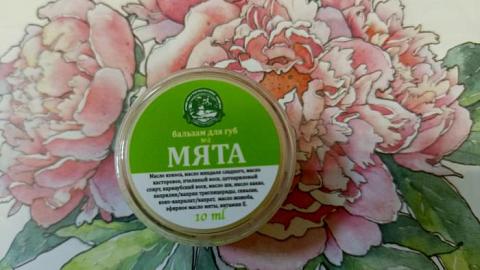 Отзыв: Мини-отзыв