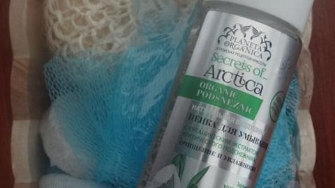 Отзыв: Пенка для умывания Secrets of Arctica Planeta Organica