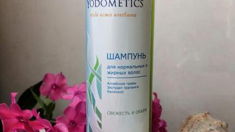 Отзыв: Эффект одного дня