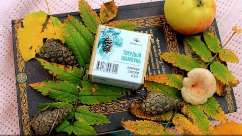 Отзыв: Живичный шампунь